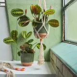 IKEA MÄVINN (ИКЕА МЭВИНН) — Кашпо, зелёное/песочное — фото 5