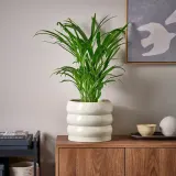 IKEA HASSELBUKETT (ИКЕА ХАССЕЛБУКЕТТ) — Кашпо, для дома/улицы/бежевый 19 см — фото 3