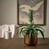 IKEA GRADVIS (ИКЕА ГРАДВИС) — Кашпо, для дома/улицы/светло-коричневый 12 см — фото 3