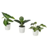 IKEA FEJKA (ИКЕА ФЕЙКА) — Искусственное растение в горшке, 3 шт., для дома и улицы/листья — фото 1