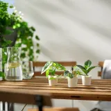 IKEA FEJKA (ИКЕА ФЕЙКА) — Искусственное растение в горшке, 3 шт., для дома и улицы/листья — фото 3