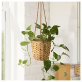IKEA FRIDFULL (ИКЕА ФРИДФУЛЛ) — Кашпо подвесное, водный гиацинт 12 см — фото 2