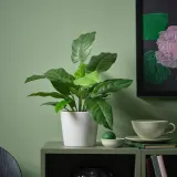 IKEA FEJKA (ИКЕА ФЕЙКА) — Искусственное растение в горшке, для дома/улицы Калатея 12 см — фото 2