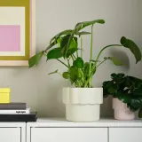 IKEA HÄNGSÄLG (ИКЕА ХЭНГСЭЛГ) — Кашпо, кремовый 15 см — фото 2