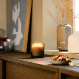 IKEA TOFSTÄRNA (ИКЕА ТОФСТЭРНА) — Свеча ароматическая в стекле, 2 фитиля, Лист инжира коричневая 50 ч — фото 2