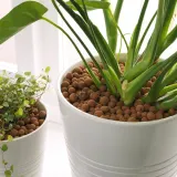 IKEA ODLA (ИКЕА ОДЛА) — Грунт для выращивания, глиняные камешки 5 л — фото 2