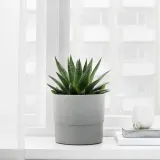 IKEA NYPON (ИКЕА НИПОН) — Кашпо для цветов, для дома и улицы, серое 15 см — фото 2