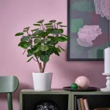 IKEA FEJKA (ИКЕА ФЕЙКА) — Искусственное растение в горшке, для дома и улицы/аралия 12 см — фото 2