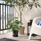 IKEA FEJKA (ИКЕА ФЕЙКА) — Искусственное растение в горшке, для дома и улицы/церцестис 15 см — фото 3