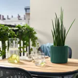IKEA DAKSJUS (ИКЕА ДАКСЙУС) — Кашпо, тёмно-зелёное 12 см — фото 2