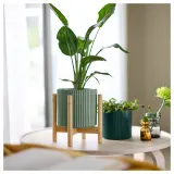 IKEA DAKSJUS (ИКЕА ДАКСЙУС) — Кашпо, тёмно-зелёное 12 см — фото 3