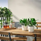 IKEA FEJKA (ИКЕА ФЕЙКА) — Искусственное растение в горшке, для дома/улицы/лавр благородный 9 см — фото 2