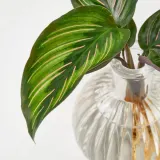 IKEA BLADVERK (ИКЕА БЛАДВЕРК) — Растение в вазе, гидропоника 10 см — фото 2
