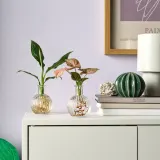 IKEA BLADVERK (ИКЕА БЛАДВЕРК) — Растение в вазе, гидропоника 10 см — фото 3