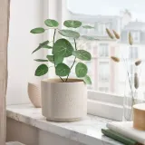 IKEA SMÅTÄRNA (ИКЕА СМОТЭРНА) — Искусственное растение в горшке, бумага/Стефания 12 см — фото 2