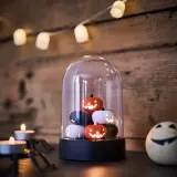 IKEA KUSTFYR (ИКЕА КУСТФИР) — Настольное украшение LED, тыква/на батарейках разноцветный — фото 3