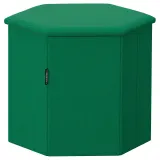 IKEA KJUGE (ИКЕА КЙУГЕ) - Пуф с отделением для хранения - Виссле насыщенный зелёный — фото 1