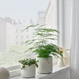 IKEA GLACIÄRBJÖRN (ИКЕА ГЛАСИЭРБЙЁРН) — Кашпо, белое 12 см — фото 2