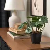 IKEA BROKTRAST (ИКЕА БРОКТРАСТ) — Кашпо для цветов, для дома и улицы/тёмно-серое 9 см — фото 2