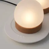 IKEA PRAKTSPIREA (ИКЕА ПРАКТСПИРЕА) — Набор декоративного LED-освещения, 4 предмета, с зарядной панелью — фото 8