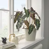 IKEA KÖRSBÄRSBJÖRK (ИКЕА КЁРСБЭРСБЙЁРК) — Кашпо, светлый серо-бежевый 19 см — фото 2