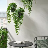 IKEA FEJKA (ИКЕА ФЕЙКА) — Искусственное растение, подвесное плющ 15 см — фото 3