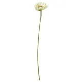 IKEA SMYCKA (ИКЕА СМЙСКА) — Искусственный цветок, для дома и улицы/мак/белый 51 см — фото 1