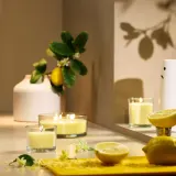 IKEA LOTSFÅGEL (ИКЕА ЛОТСФОГЕЛ) — Ароматическая свеча в стекле, цитрусовые цветы, светло-жёлтый, 40 ч — фото 3