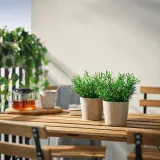 IKEA FEJKA (ИКЕА ФЕЙКА) — Искусственное растение в горшке, для дома и улицы/розмарин 9 см — фото 2