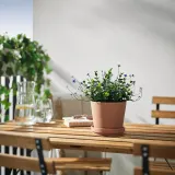 IKEA FEJKA (ИКЕА ФЕЙКА) — Искусственное растение в горшке, для помещения/улицы, цветущее, сиреневое 12 см — фото 2