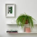 IKEA FEJKA (ИКЕА ФЕЙКА) — Искусственное растение в горшке, для помещения/улицы, подвесное/папоротник 12 см — фото 2