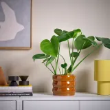 IKEA HASSELBUKETT (ИКЕА ХАССЕЛБУКЕТТ) — Кашпо — для дома/улицы, коричнево-жёлтое, 12 см — фото 3