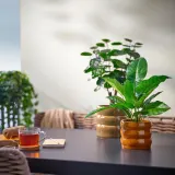 IKEA HASSELBUKETT (ИКЕА ХАССЕЛБУКЕТТ) — Кашпо — для дома/улицы, коричнево-жёлтое, 12 см — фото 4