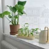IKEA VATTENKRASSE (ИКЕА ВАТТЕНКРАССЕ) — Набор для укоренения растений, стекло цвета слоновой кости/золотистый — фото 2