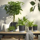 IKEA VÅRDTRÄD (ИКЕА ВОРДТРЭД) — Кашпо с автополивом, для дома/улицы прозрачный/антрацит 15 см — фото 6