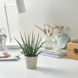 IKEA KÖRSBÄRSBJÖRK (ИКЕА КЁРСБЭРСБЙЁРК) — Кашпо, светлое серо-бежевое 6 см — фото 2