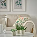 IKEA KÖRSBÄRSBJÖRK (ИКЕА КЁРСБЭРСБЙЁРК) — Кашпо, светлое серо-бежевое 6 см — фото 3
