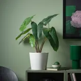 IKEA FEJKA (ИКЕА ФЕЙКА) — Искусственное растение в горшке, филодендрон зелёный/белый 15 см, для дома и улицы — фото 2