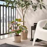IKEA FEJKA (ИКЕА ФЕЙКА) — Искусственное растение в горшке, филодендрон зелёный/розовый 15 см, для дома и улицы — фото 3