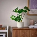 IKEA SANDKÖRSBÄR (ИКЕА САНДКЁРСБЭР) — Кашпо, для дома/улицы/бежевый 12 см — фото 2