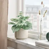 IKEA SMÅTÄRNA (ИКЕА СМОТЭРНА) — Искусственное растение в горшке, бумага/бруннера 12 см — фото 2