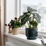 IKEA HONUNGSPALM (ИКЕА ХОНУНГСПАЛМ) — Кашпо, для дома и улицы/синее 12 см — фото 4
