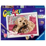 Ravensburger - CreArt Раскраска Собака с котенком / артикул 202102 / GTIN 4005556202102 — фото 1