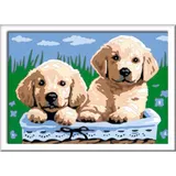 Ravensburger - CreArt Детская книжка-раскраска Щенки 289318 / артикул 289318 / GTIN 4005556289318 — фото 2