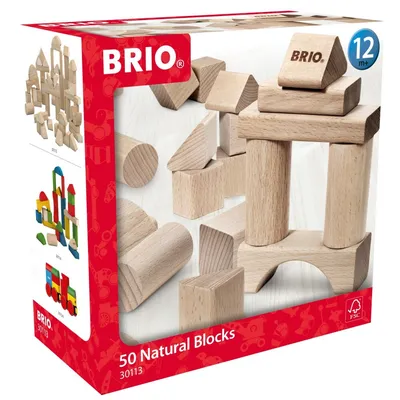 BRIO 30113 «Набор из 50 деревянных кубиков» 30113