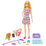 Barbie - Кукла Барби и собака в коляске + 10 аксессуаров HTK37 / артикул HTK37 / GTIN 194735192243 — фото 4