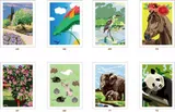Раскраска по номерам Coloriages mysteres Disney Nature sauvage - раскраска Дисней Дикая Природа / 9782019461591 — фото 6