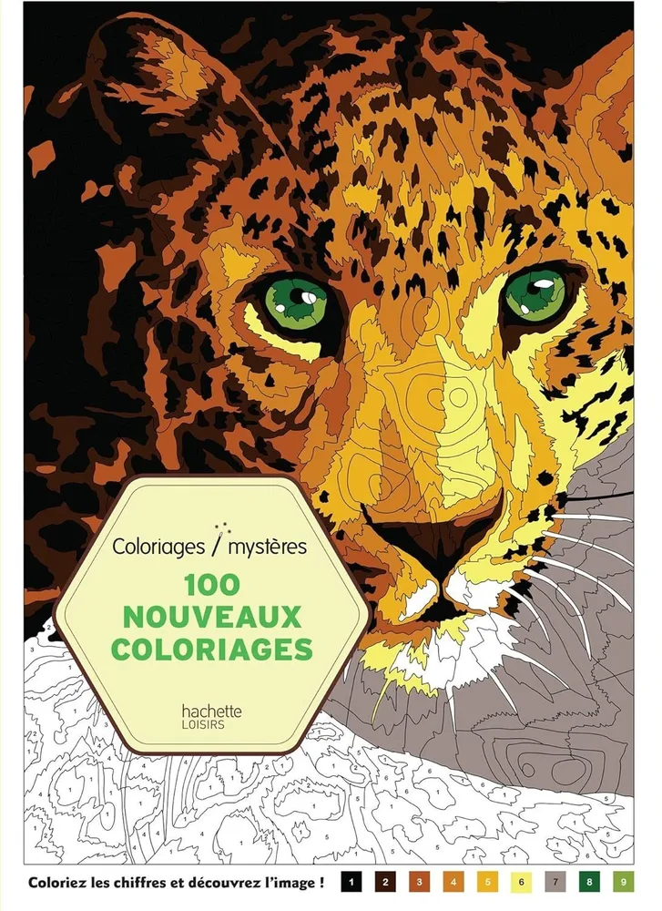 Раскраска по номерам Coloriages mysteres Disney - 100 Nouveaux coloriages Mysteres / 9782013968812