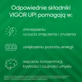 Vigor Up! - диетическая добавка, 30 таблеток — фото 2