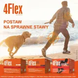 Диетическая добавка 4Flex - 30 пакетиков с порошком — фото 4